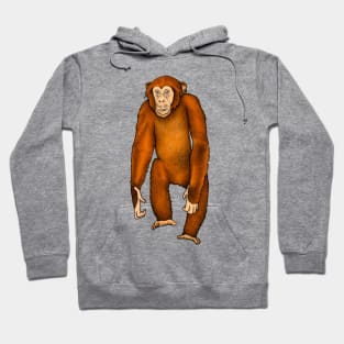 Ape Hoodie